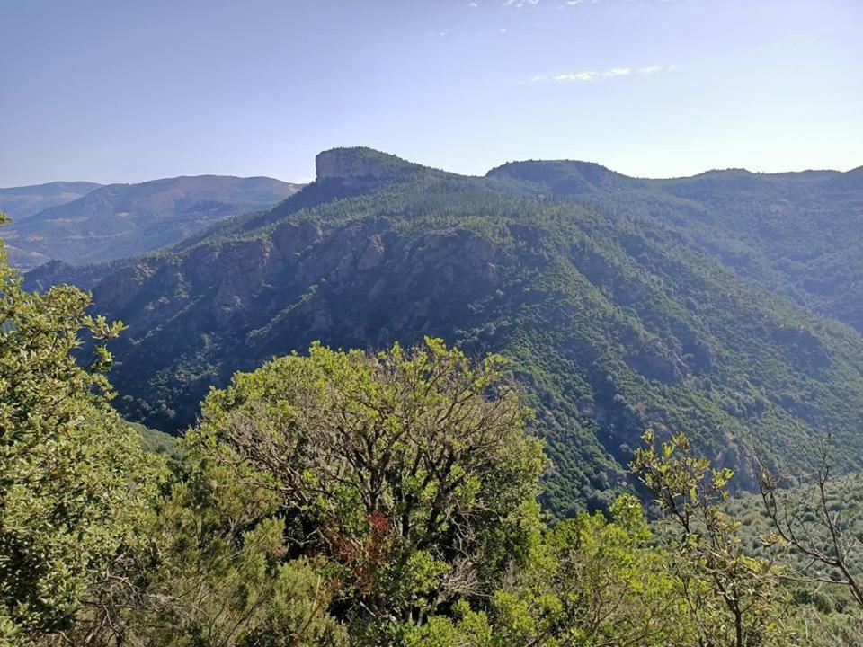 Sa Stiddiosa Guesthouse Gadoni Kültér fotó