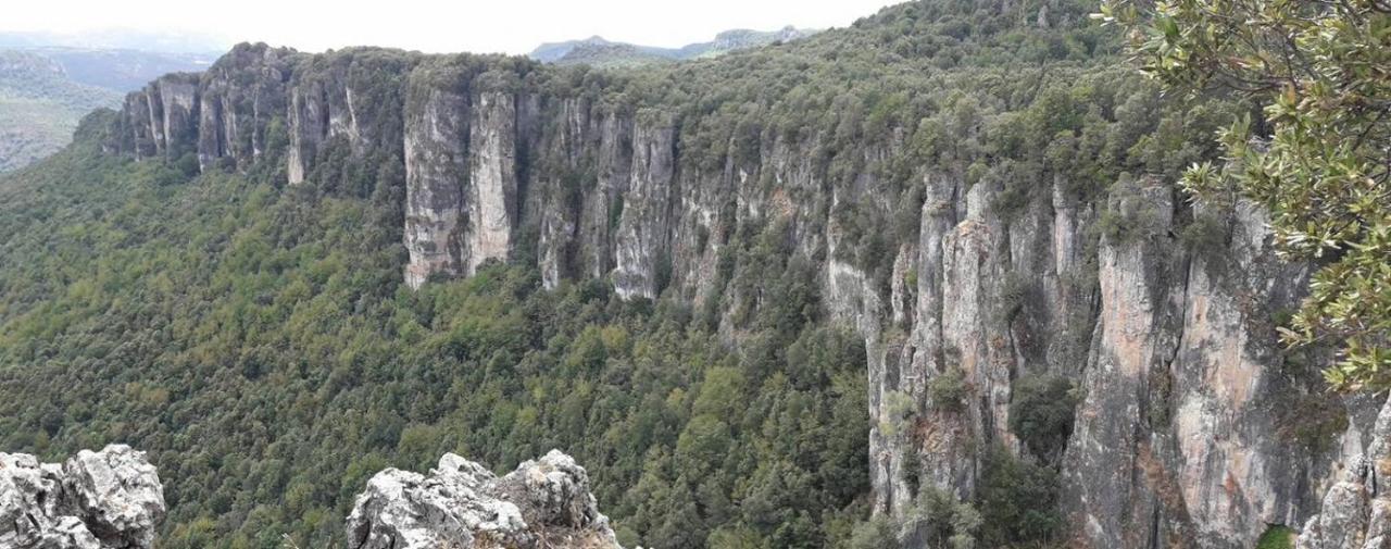 Sa Stiddiosa Guesthouse Gadoni Kültér fotó